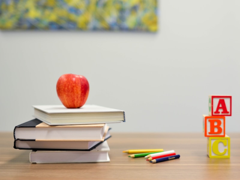 Educational Software - Management Information Systems for Universities